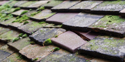 Somerton roof repair costs